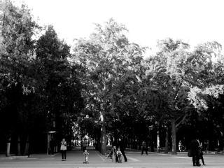 DSCN0167_