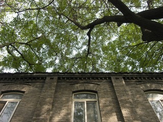 DSCN0391_
