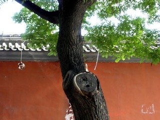 DSCN0379_
