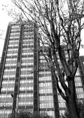DSCN0394_