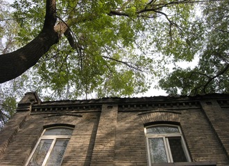 DSCN0390_
