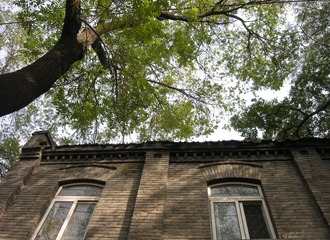 DSCN0390__