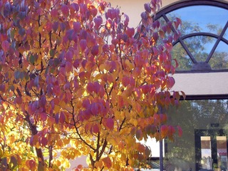DSCN9759_