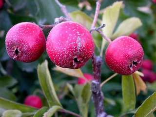 DSCN9749_