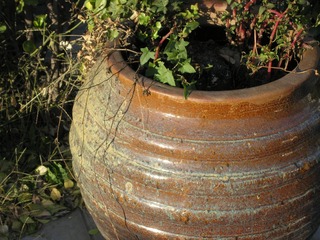 DSCN9778_