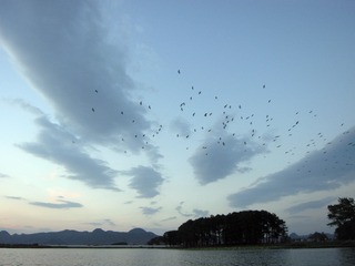 DSCN9917_