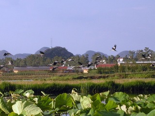 DSCN9841_