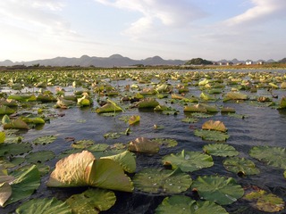 DSCN9878_