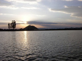 DSCN9885_