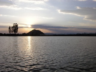 DSCN9885__