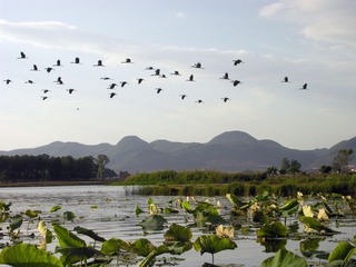 DSCN9842_