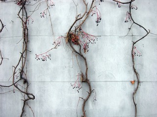 DSCN9976_