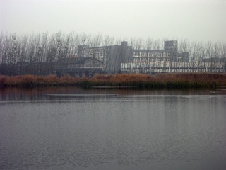 DSCN0010__