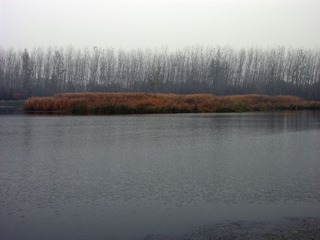DSCN0008_