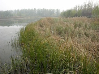 DSCN0013_