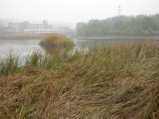 DSCN0007_