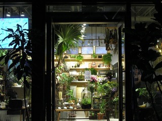 DSCN2181_