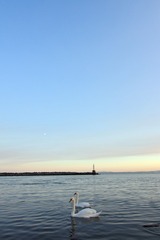 IMG_9612__