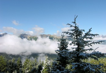 Picture 324_