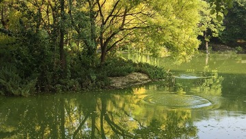 湖边