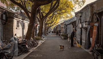 京城胡同纪实——秋