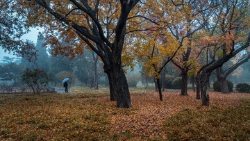 秋雨天坛