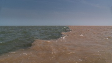 黄河入海