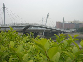 桥-001.JPG