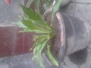 20150424_151933