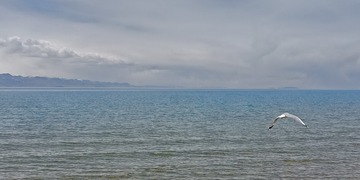 1524974