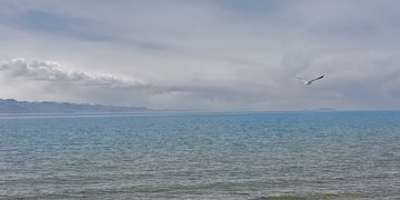 1524981