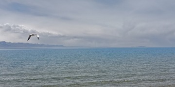 1524957