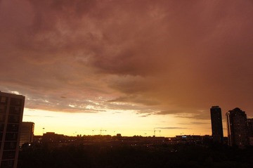 DSC06516.JPG