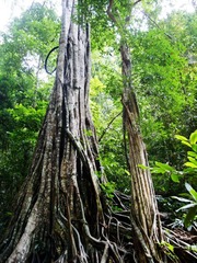 S1050012.jpg