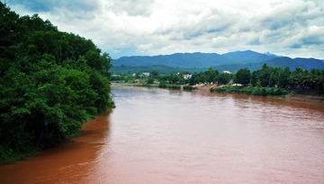 S1050107.jpg