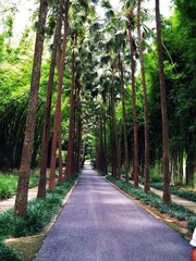 S1050109.jpg