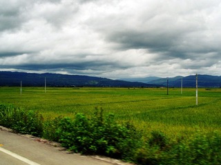 S1050533.jpg