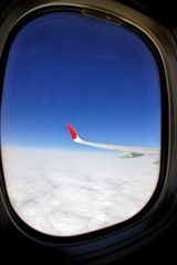 DSC08830.jpg