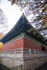 newDSC_0765