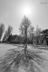newDSC_2077_2_