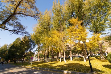 newDSC_0710