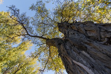 newDSC_0682_1