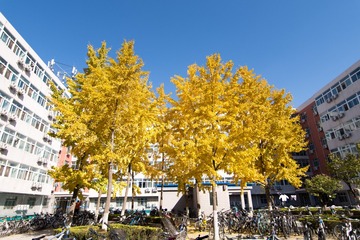 newDSC_0604