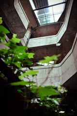 DSC_0752-2