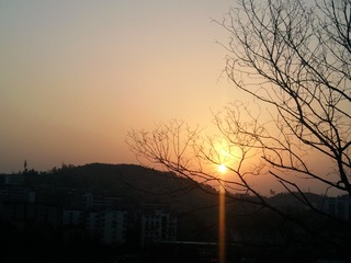Photo003