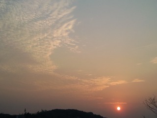 Photo008_001