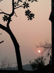 Photo032
