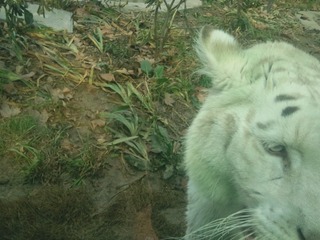 Photo071