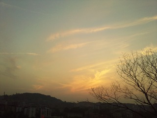 Photo041