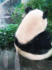 照片115 (2)